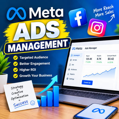 meta ads management